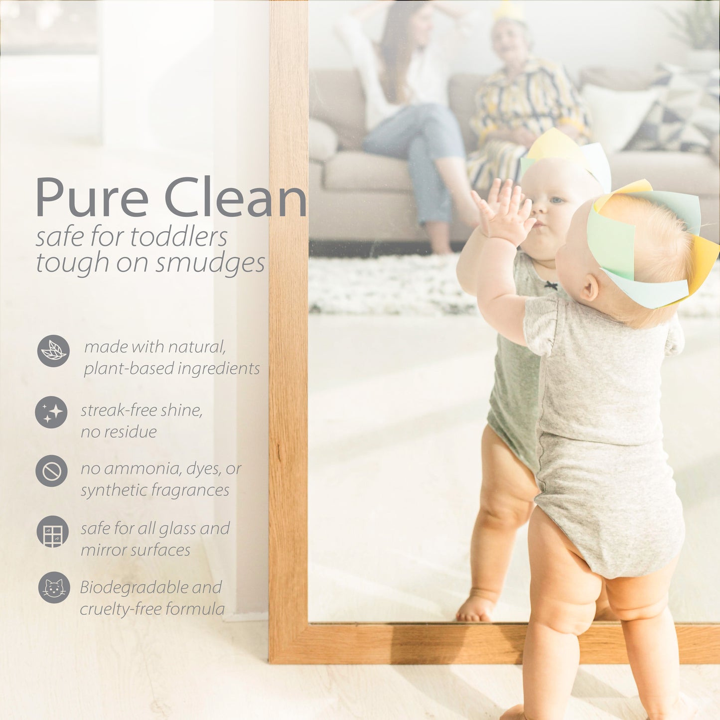 Window Cleaner